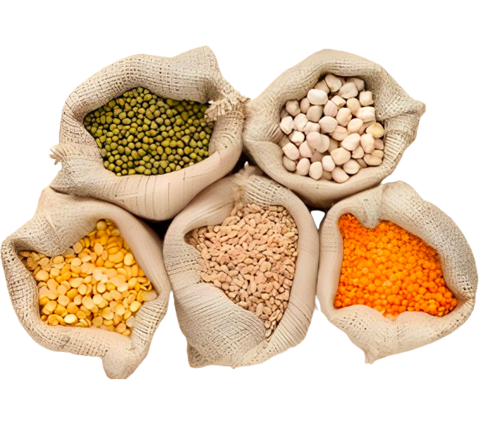 Légumes secs et grains